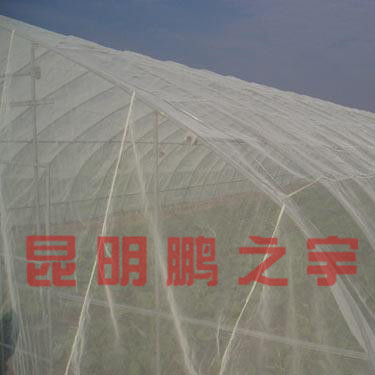 防虫网