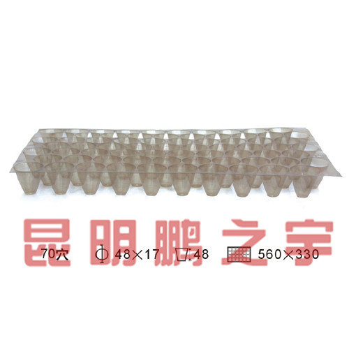 苗盘