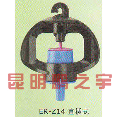 直插式喷头
