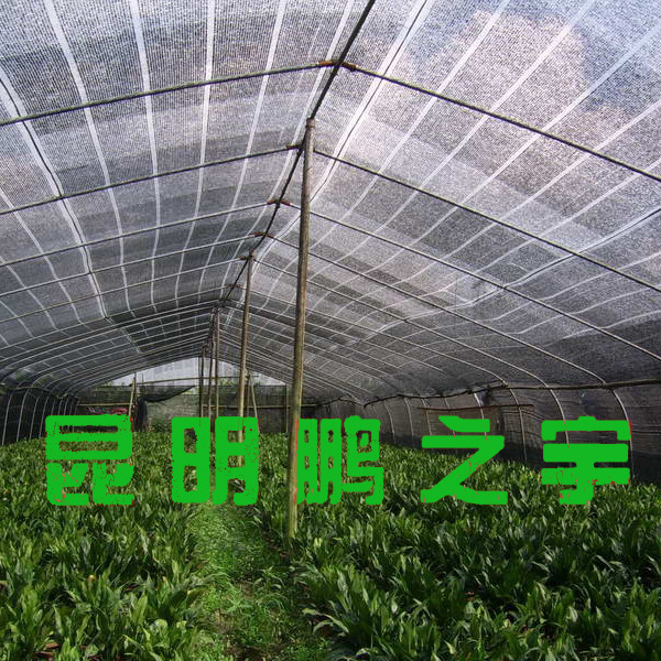 昆明专业遮阳网