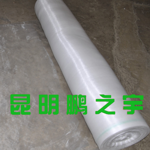 云南防虫网