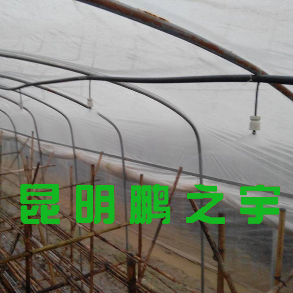 云南温室工程安装实景