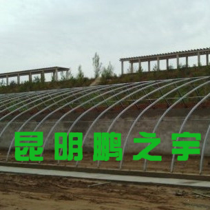 昆明专业温室工程安装